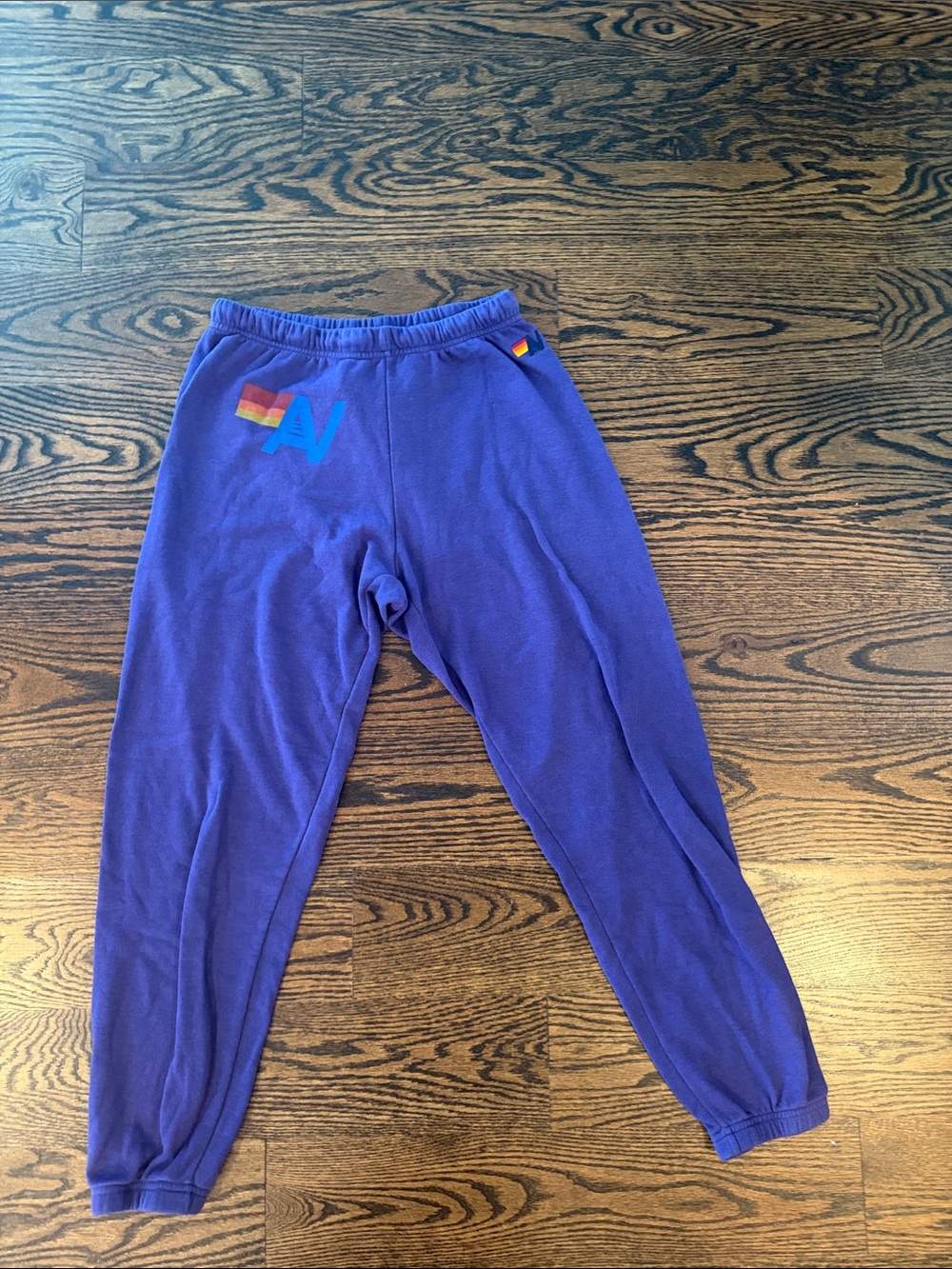 Aviator Nation Purple Logo Sweatpants
